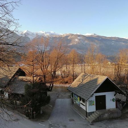 Apartma Kosnik Perunika Bohinj Luaran gambar