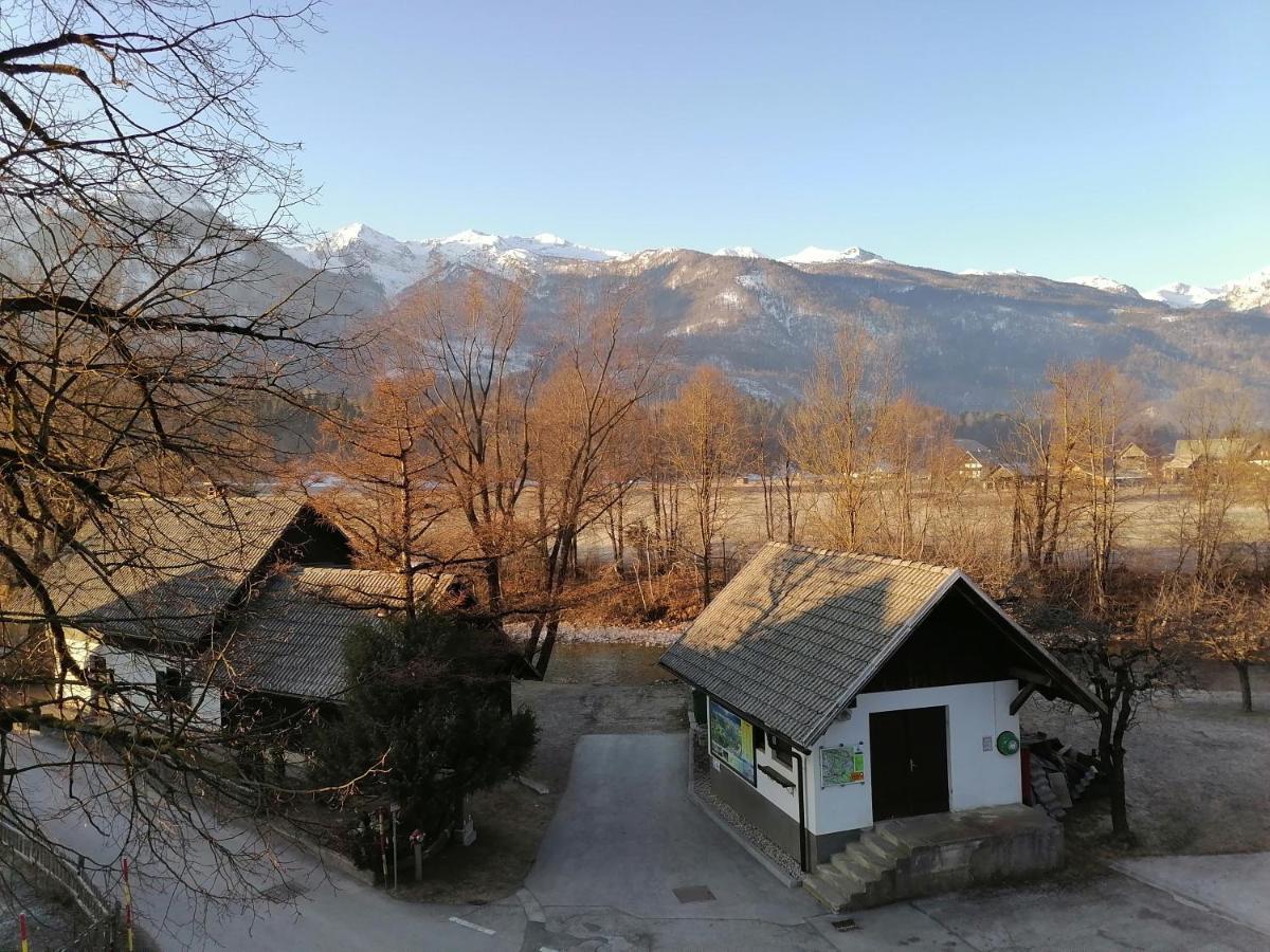 Apartma Kosnik Perunika Bohinj Luaran gambar
